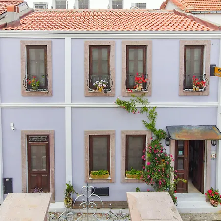 Egesade Ayvalı